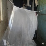 Protection from the mosquitoes